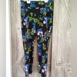 Up Canada Black Blue Floral Stretch Pants 16